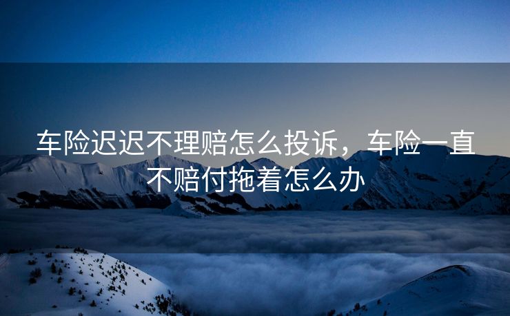 车险迟迟不理赔怎么投诉，车险一直不赔付拖着怎么办
