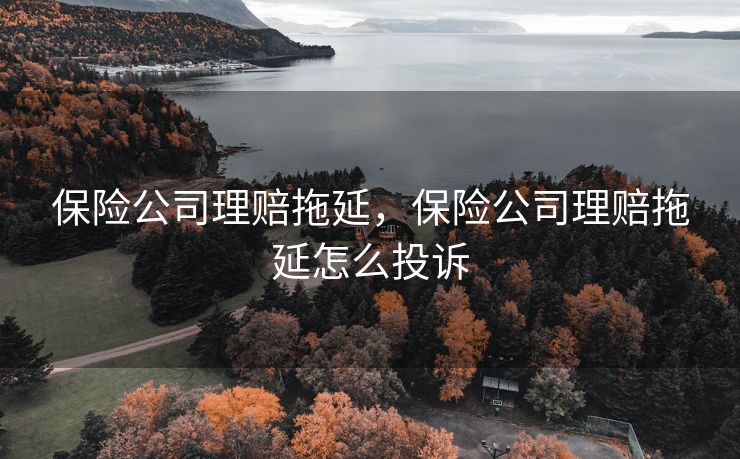 保险公司理赔拖延，保险公司理赔拖延怎么投诉