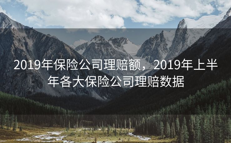 2019年保险公司理赔额,2019年上半年各大保险公司理赔数据 2019年保险公司理赔额,2019年上半年各大保险公司理赔数据