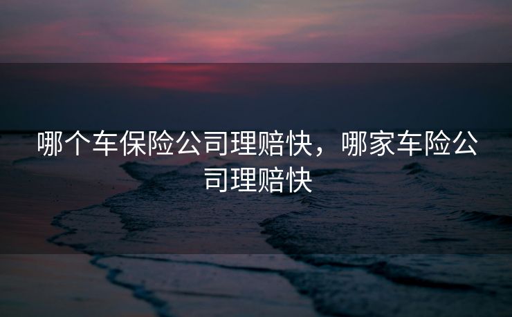 哪个车保险公司理赔快，哪家车险公司理赔快