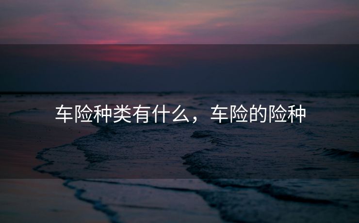车险种类有什么，车险的险种