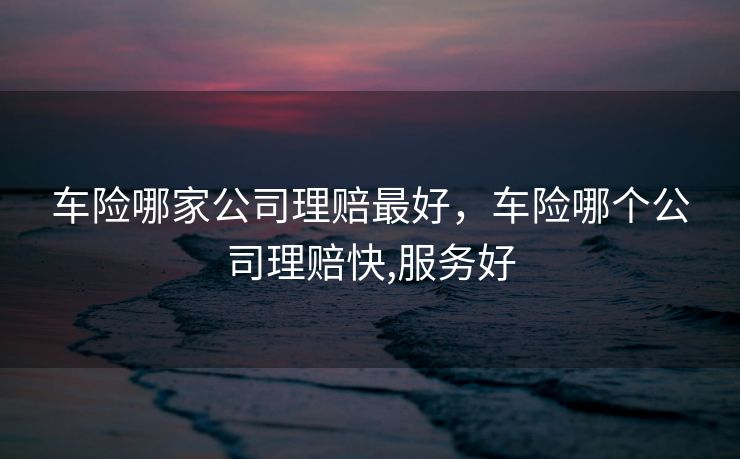 车险哪家公司理赔最好，车险哪个公司理赔快,服务好
