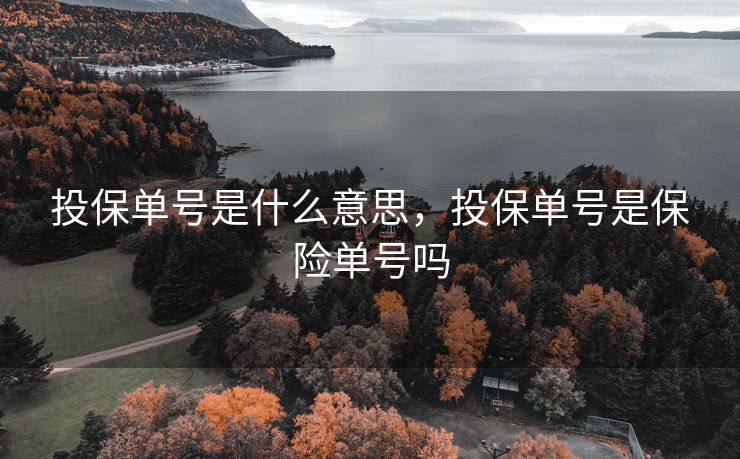 投保单号是什么意思,投保单号是保险单号吗 投保单号是什么意思,投保单号是保险单号吗