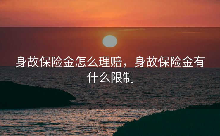 身故保险金怎么理赔，身故保险金有什么限制