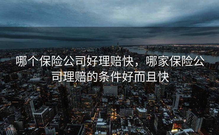 哪个保险公司好理赔快，哪家保险公司理赔的条件好而且快