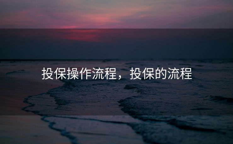 投保操作流程，投保的流程