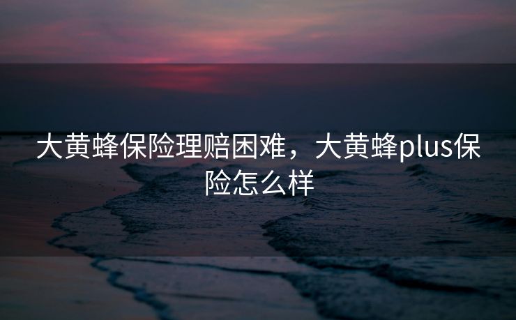大黄蜂保险理赔困难，大黄蜂plus保险怎么样
